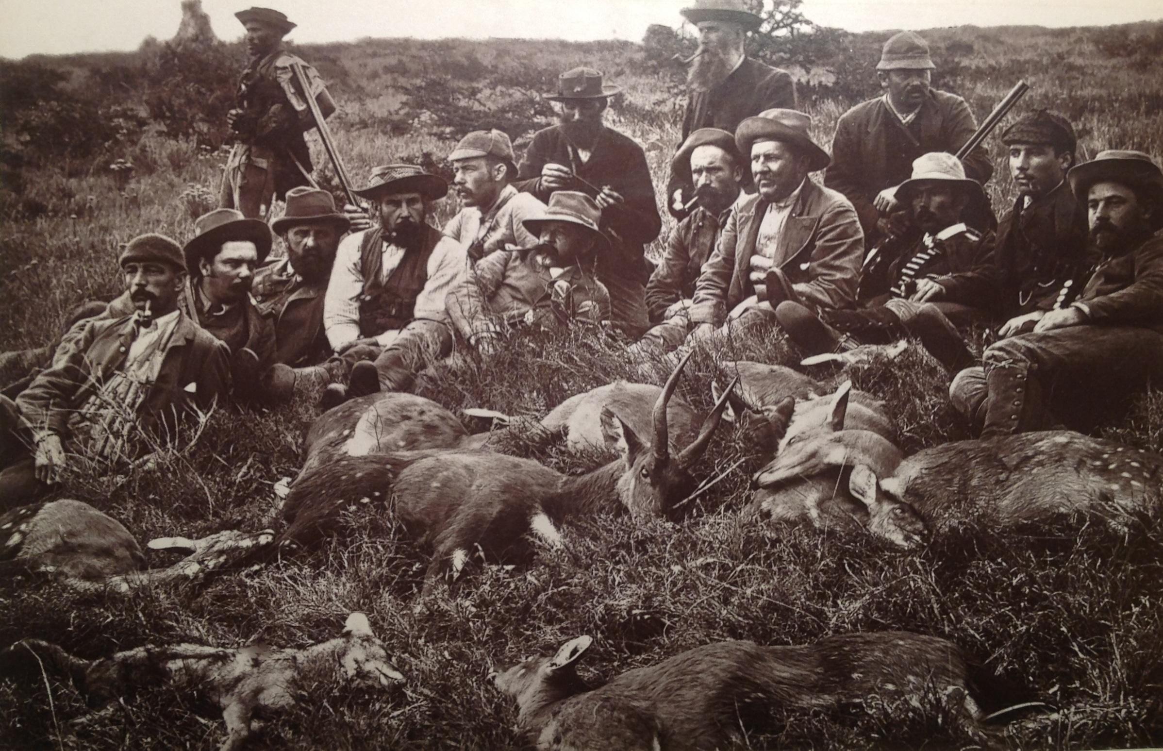 Hunter and hunted photographed - Early South African hunting